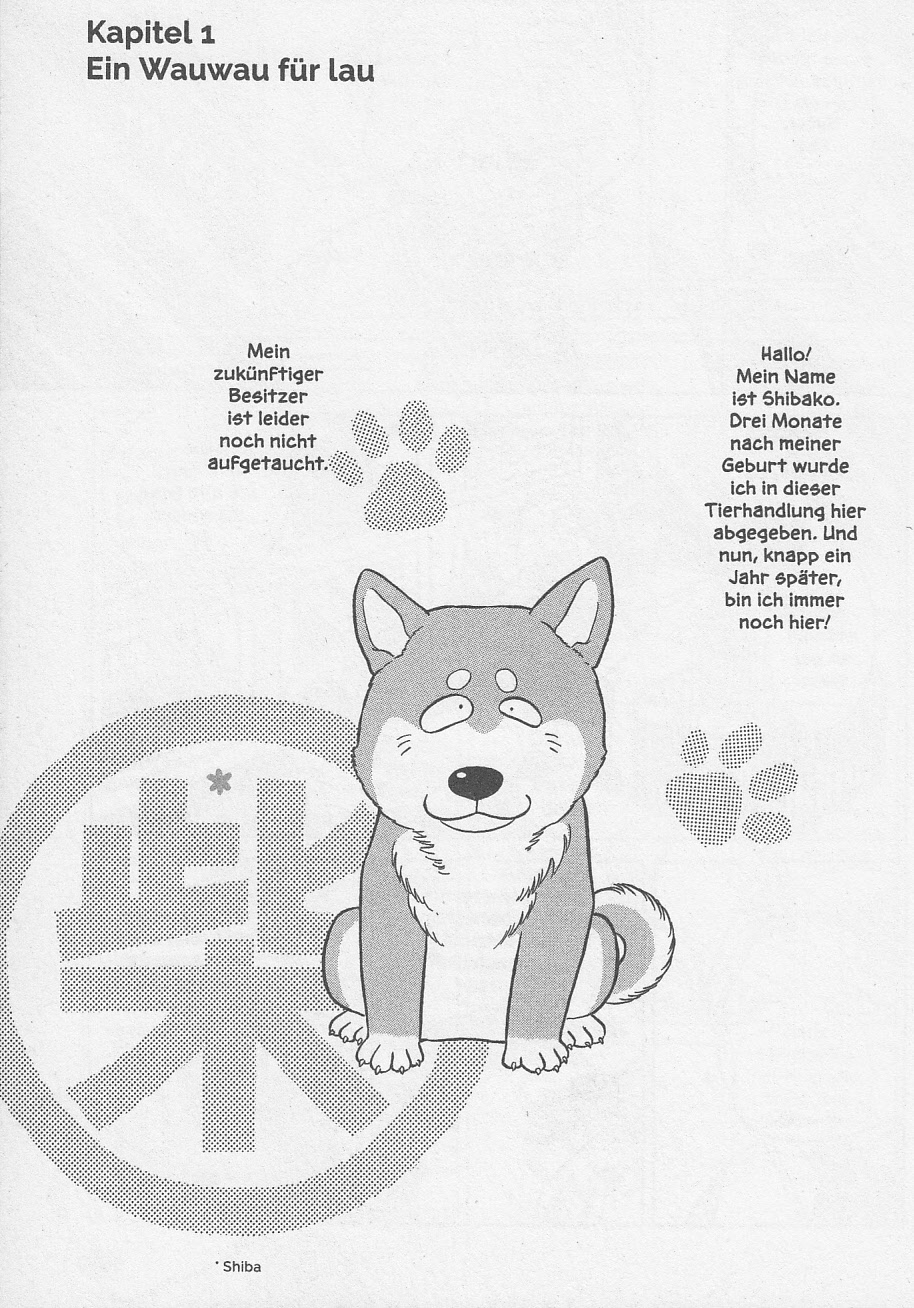 Shiba - Ein Hund zum Verlieben