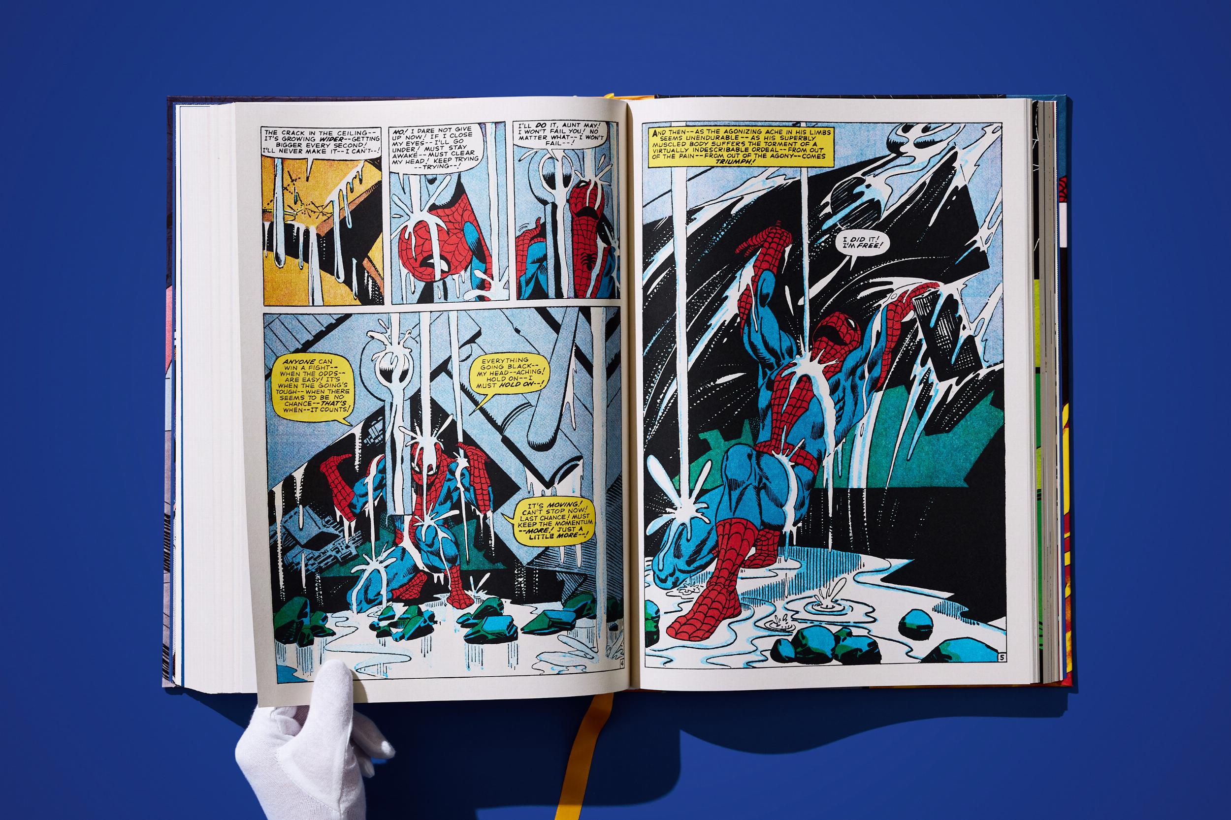 Marvel Comics Library: Spider-Man Volume 2 Leseprobe