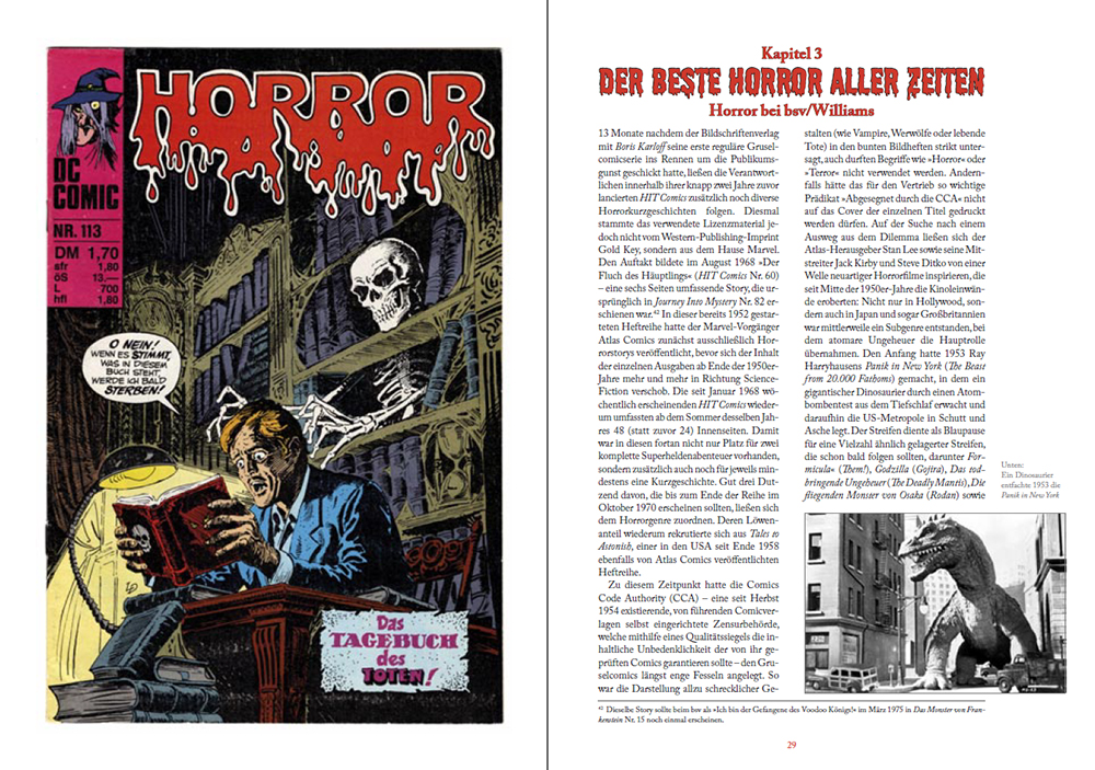 horror buch ds2